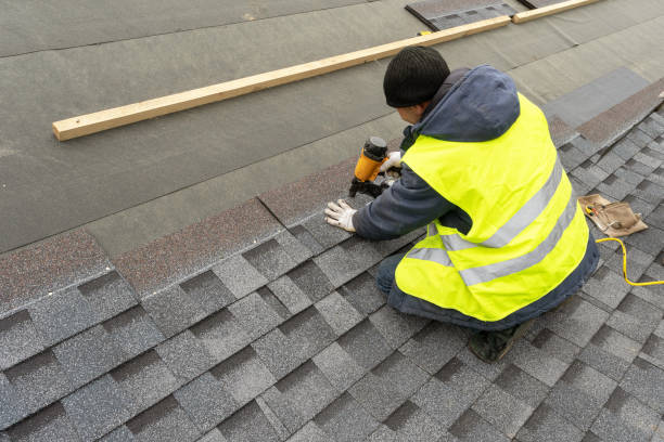 Best Metal Roofing Contractor  in Williston Highlands, FL