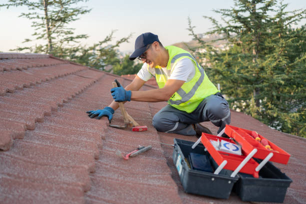 Roof Gutter Cleaning in Williston Highlands, FL