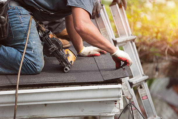 Best Roof Gutter Cleaning  in Williston Highlands, FL